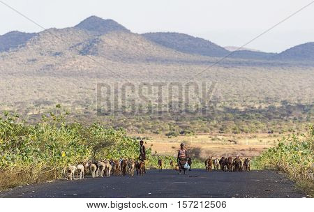 Herders On Highway In The Evening. Omo Valley. Ethiopia