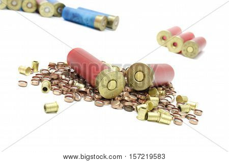 ammunition for hunting in the wild cartridges and capsules