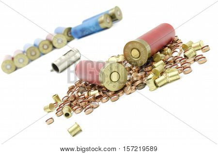 ammunition for hunting in the wild cartridges and capsules