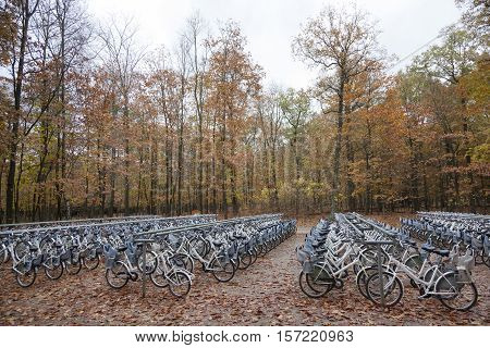 free white bicycles near entrance to national park Hoge Veluwe in Schaarsbergen near Arnhem