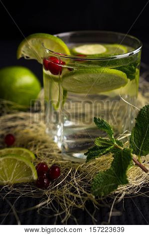 Refreshing drink with lime, mint and cranberries on a dark background