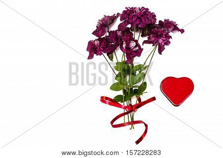Pink Clematis Floweron White Background Studio Photo