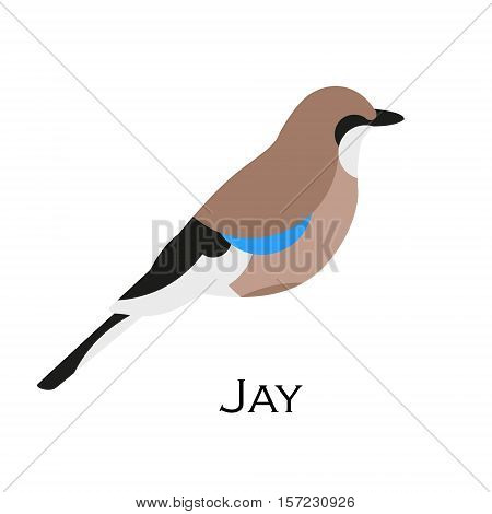 Jay vector icon. Logo with bird. Flat design.