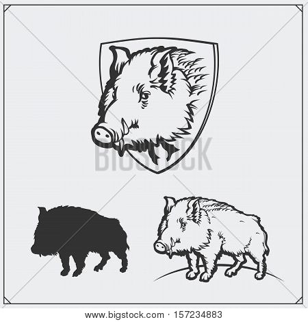 Vector monochrome illustration of a wild boar.