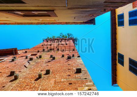 Torre Guinigi In Lucca, Tuscany, Central Italy
