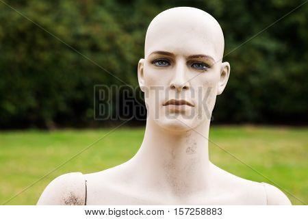 thoughtfull male dummy with bare-faced striking head