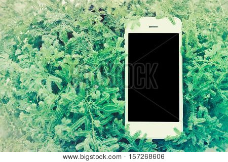 Mobile smart phone on green fearn with vintage filter