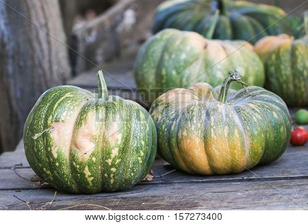 Diverse assortment of pumpkins on a wooden background. Autumn harvest.