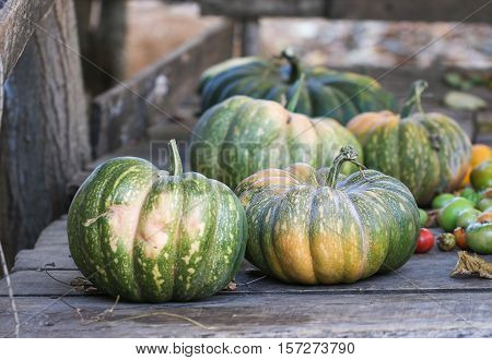 Diverse assortment of pumpkins on a wooden background. Autumn harvest.