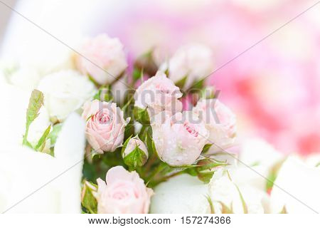 Closeup Roses Bouquet