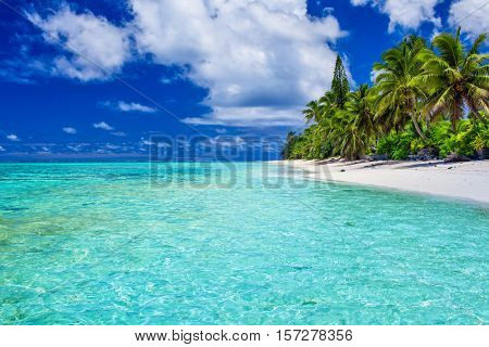 Amazing beach with white sand and palm trees on Rarotonga, Cook Islands