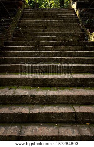 The ancient old stairs and green plant