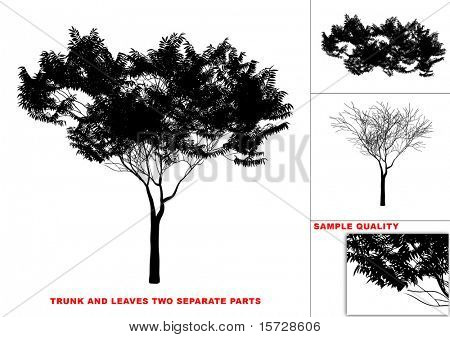 Albero vettoriale (due parti separate tronco e foglie)