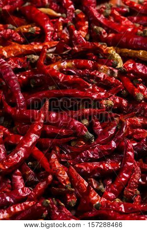 The heap of red hot chili pepper dried