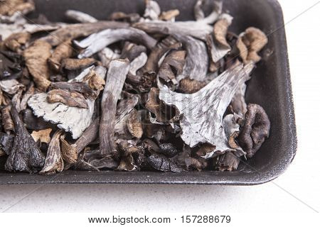 Black polythene tray full of Horn of Plenty mushrooms. Isolated