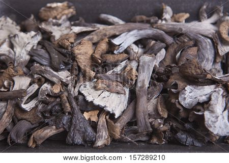 Black polythene tray full of Horn of Plenty mushrooms. Isolated