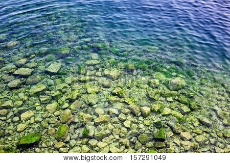 Spirogyra in bottom rocks in water of Lake Baikal. Foreign body is clogging lake creating threat of ecological catastrophe.