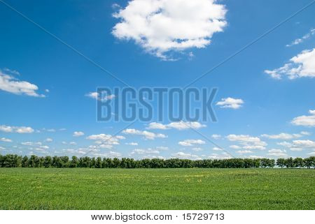 Krajina