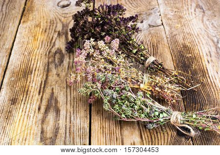 Dried Flowers and Stems of Thyme Studio Photo