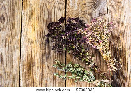 Dried Flowers and Stems of Thyme Studio Photo
