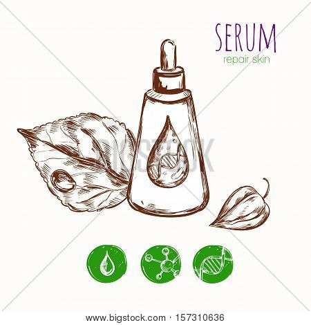 Serum cream skin repair concept with sketch images of package leaves detailed drop and molecule icons vector illustration