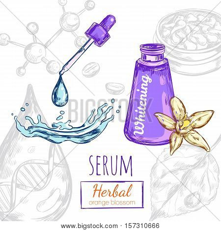 Serum herbal orange blossom cream composition with sketch images of packaging and pipette with water drop vector illustration