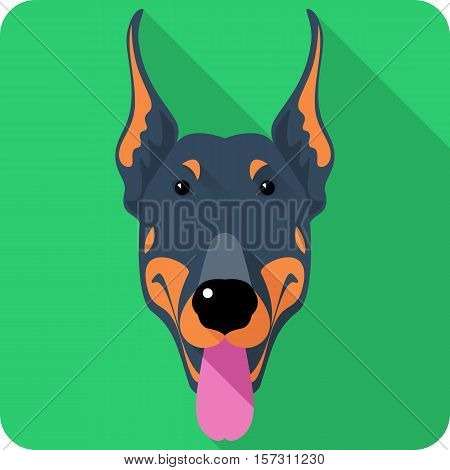 Vector serious dog Doberman Pinscher head icon flat design