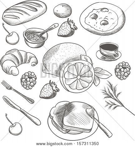 Detailed food sketch that can be used for illustrations
