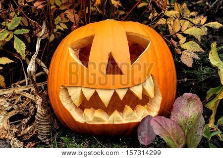 Illuminated spooky Halloween pumpkin lantern with teeth