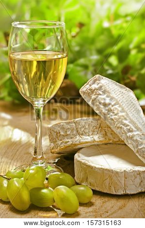 White wine Brie Camembert and grape on the wood surface outdoor