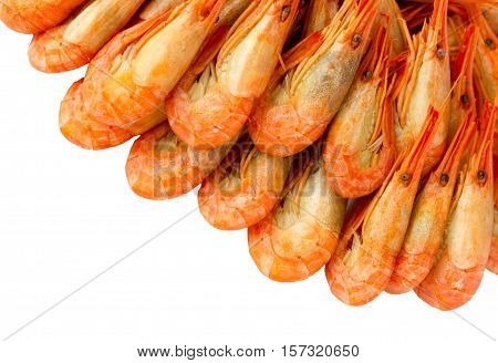 Cooked shrimps isolated on white background. Prawns. Seafood