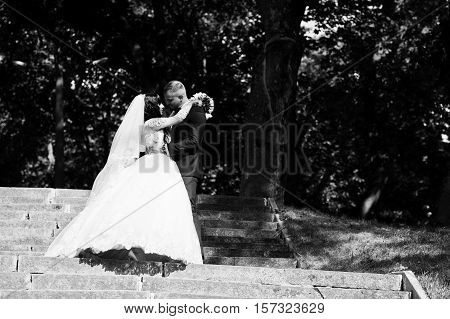 Nifty Wedding Couple At Stairs On Park At Sunny Wedding Day. Black And White Photo