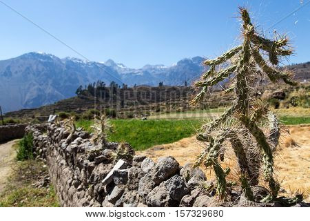 Trail in the village of Cabanaconde @ Colca Canyon, Peru