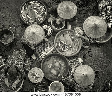 Fish processing on a fish market in Nha-Trang. Vietnam, May of 2016
