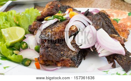 Thai foodfried salted catfish with herb on dish. salted catfish is thai food preservation.