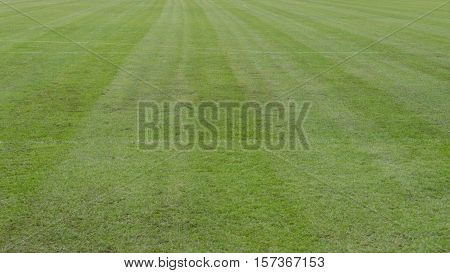 Pat Football Stadium