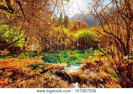 Scenic Pond With Emerald Water On One Of Waterfall Levels