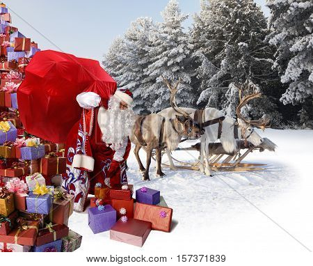 Santa Claus has brought gifts for you in his reindeers harness on the winter forest background.
