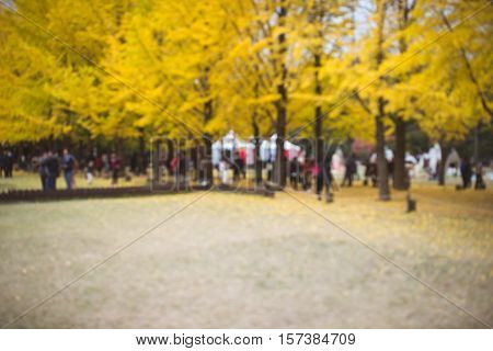 NAMI ISLAND KOREA - OCT 28: Tourists taking photos in autumn around Nami Island. Photo taken on October 28 2016 in South Korea.