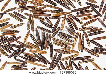 Black rice close-up on white background. Isolated. Pattern of wild brown unpolished rice.