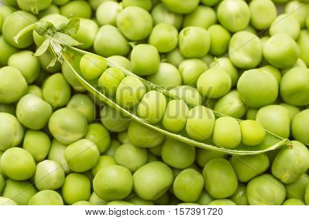 ripe green pea pod on heap peas background