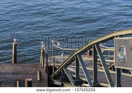 Boat landing stage on the Rhine in Duesseldorf Germany.