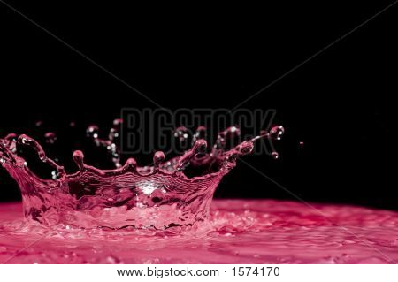 Acqua Splash