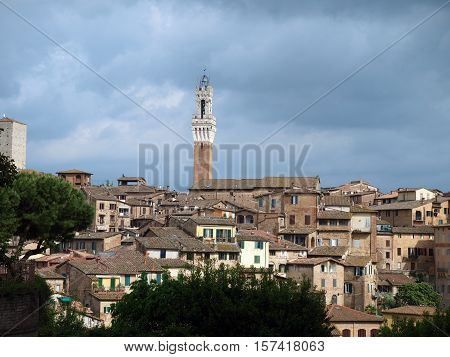 Siena - panorama of the old part of town with a slender tower Torre del Manga