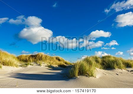 Dunes on the North Sea coast on the island Amrum Germany.