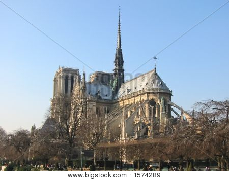 Cathedral Of Paris With Trees, Island Of The City, France