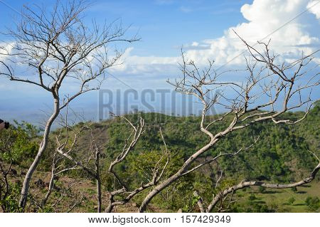 Dry vegetation in the landscapes of San Jacinto near Telica volcano Leon Department, Nicaragua