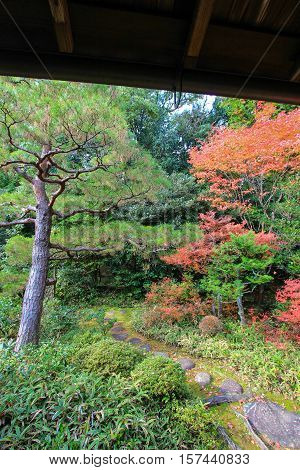 Kotoin Temple in autumn (Norther Kyoto, Japan)