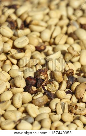 Green un-roasted coffee beans heap with shallow depth of field