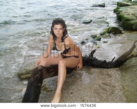 ไซเรนซี